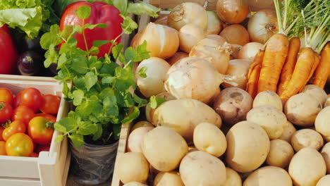 counter with fresh vegetables and a sign of local products