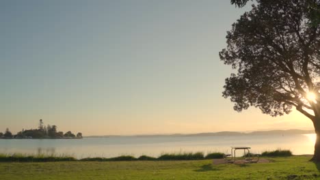 slide-shot-of-beautiful-sunset-at-local-park