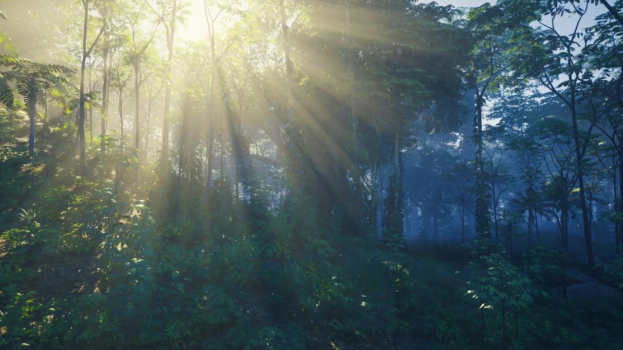 Nightfall over lush indonesian woodland with dramatic lighting