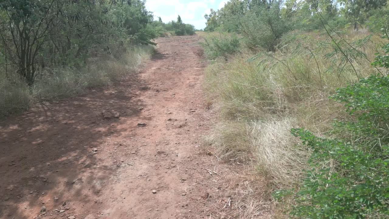 Mauritius - Albion - backward view on the lighthouse coastal road
