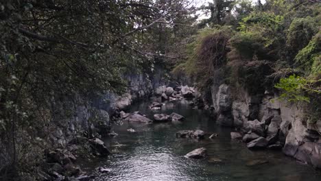 River-water-flowing-through-jungle-and-forest-in-South-Korea-nature