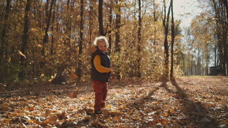 a smiling boy looks at falling autumn yellow leaves from trees standing in the park in the sunset sun. magical forest the boy laughs and happily looks after the fall of autumn leaves. high quality 4k footage