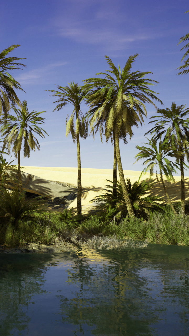 Oasis with palm trees and water in desert during bright daylight hours