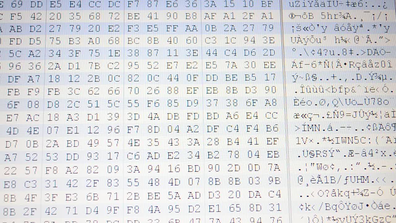 Table of the binary. Hexadecimal program code on screen. Animated background of moving binary code numbers