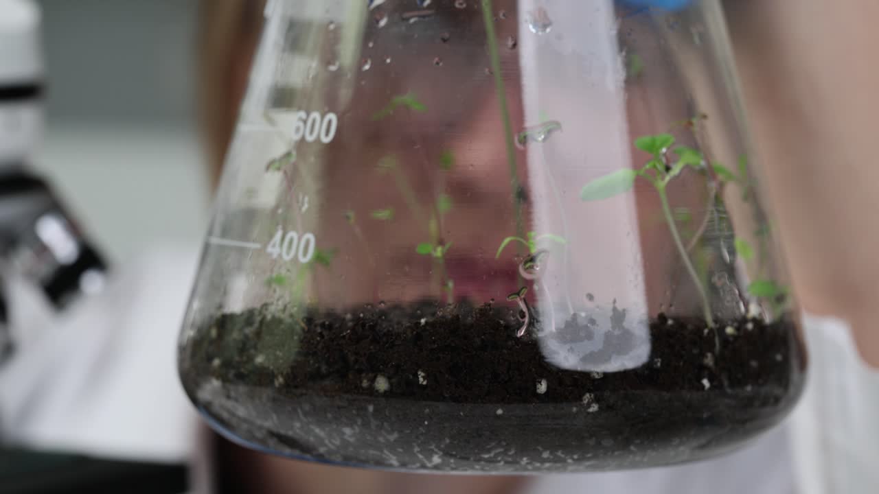 Scienziata tiene una fiaschetta di vetro con piccoli germogli.