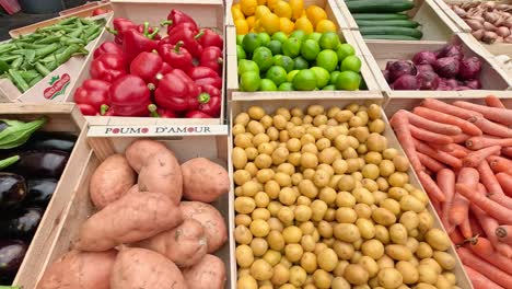 vibrant fruits and vegetables displayed at a market