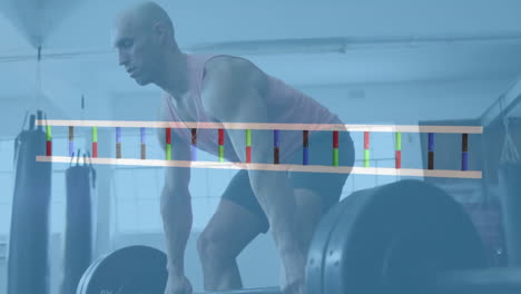 Animation-of-dna-strand-over-caucasian-man-lifting-barbell-on-gym