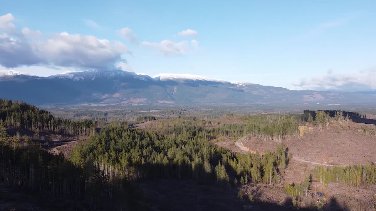 vista aérea del bosque talado de port alberni, isla de vancouver, canadá