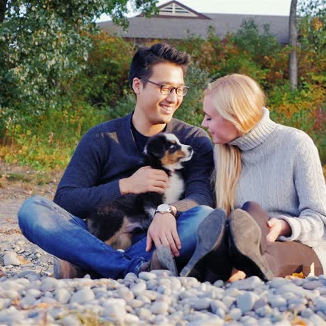 pareja joven pasea al perro 1