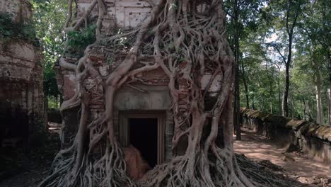 raíces de angkor