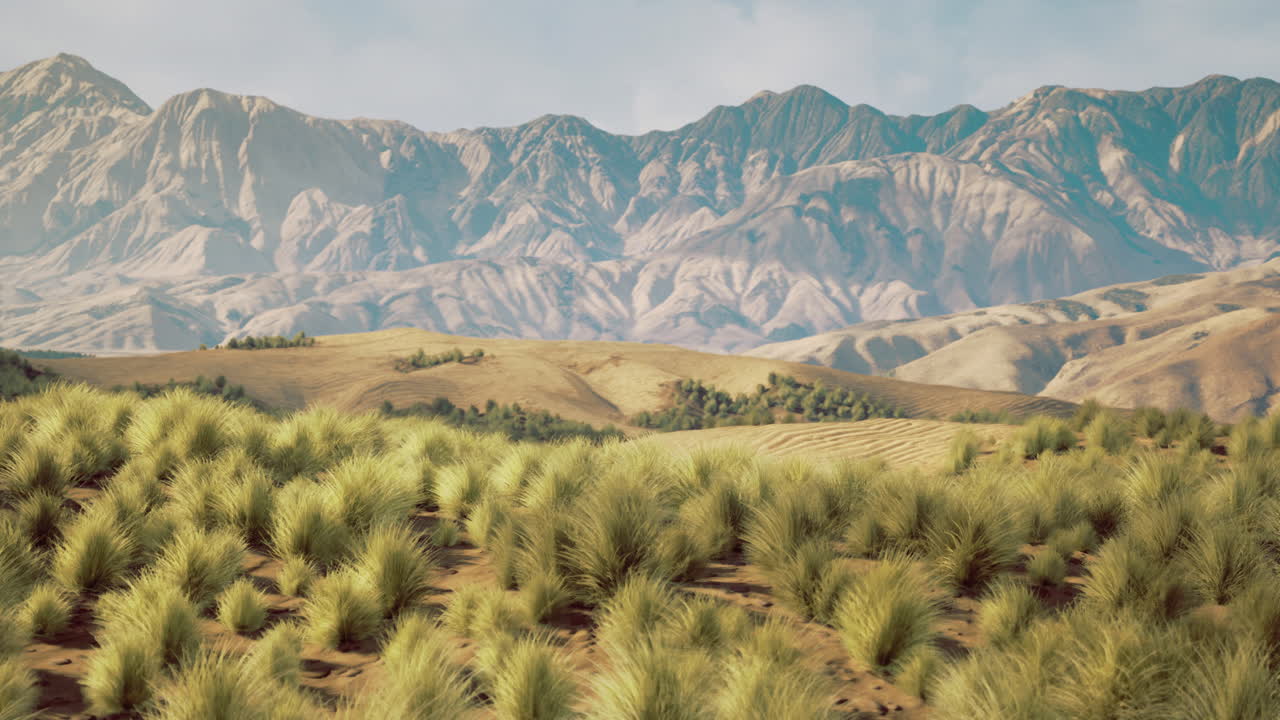 Lush green grass sways gently amidst expansive mountain landscape