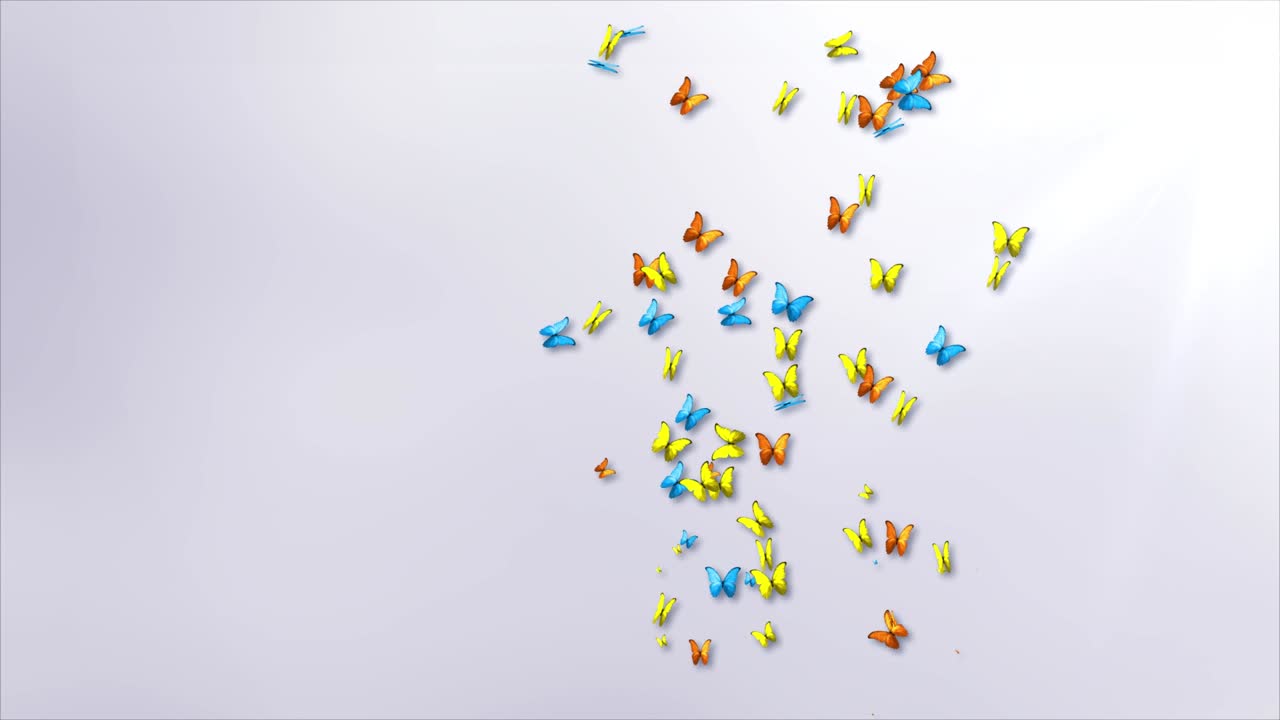 bellissima farfalla che vola isolata su uno sfondo bianco. farfalla in natura primaverile.