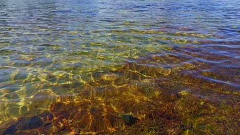 Am-Rande-Des-Sees-Mit-Unberührtem,-Klarem-Wasser-Und-Vegetation-Und-Felsen-Auf-Seinem-Sandboden-Sichtbar