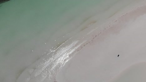 4k aerial of beach and calm ocean waves with a person in the distance: background for title screen or copy space