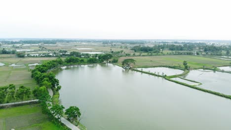 Toma-Aérea-De-Un-Campo-Agrícola-Inundado-Después-De-La-Tormenta-En-India