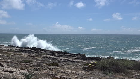 waves crashing on the shore