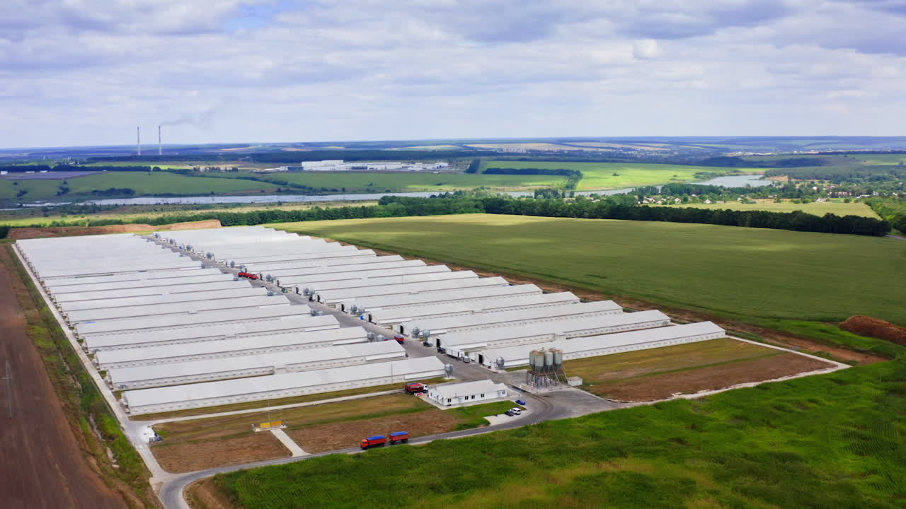 Modern farm in the countryside. White buildings of a farm among beautiful green nature. New poultry factory on a meadow. Aerial view.