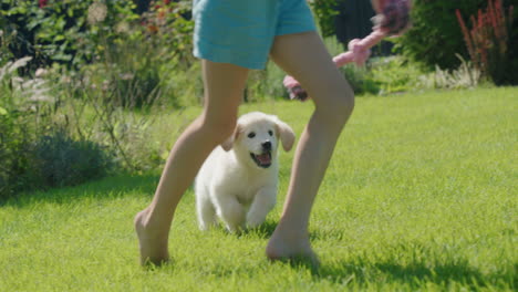 a teenager plays with a puppy on a green lawn. dog trying to catch the rope, good time together