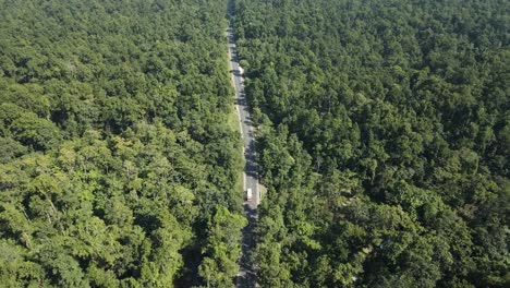 vista aérea de la carretera en medio del bosque en nepal