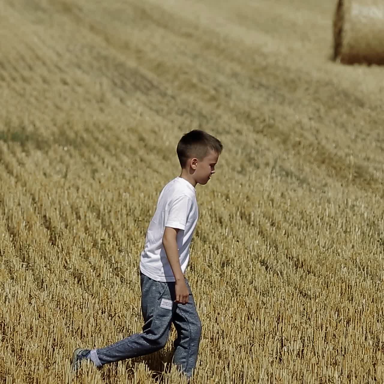 Little Boy In Field