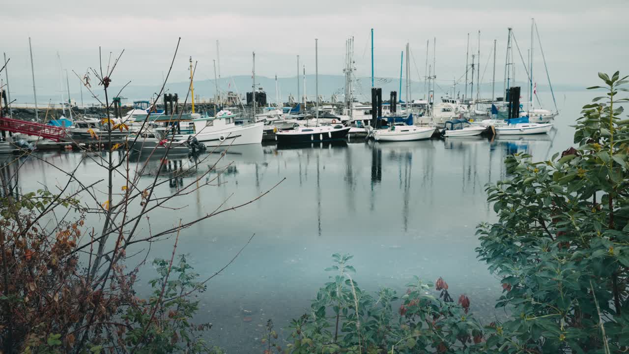 Small marina in calm coastal bay