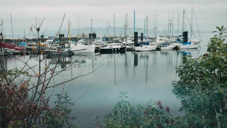 small marina in calm coastal bay