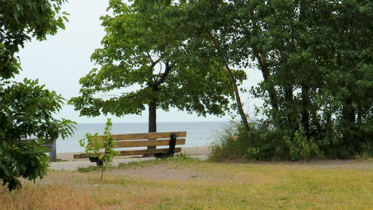un banco de parque vacío junto a un sendero para bicicletas, con vista al lago ontario