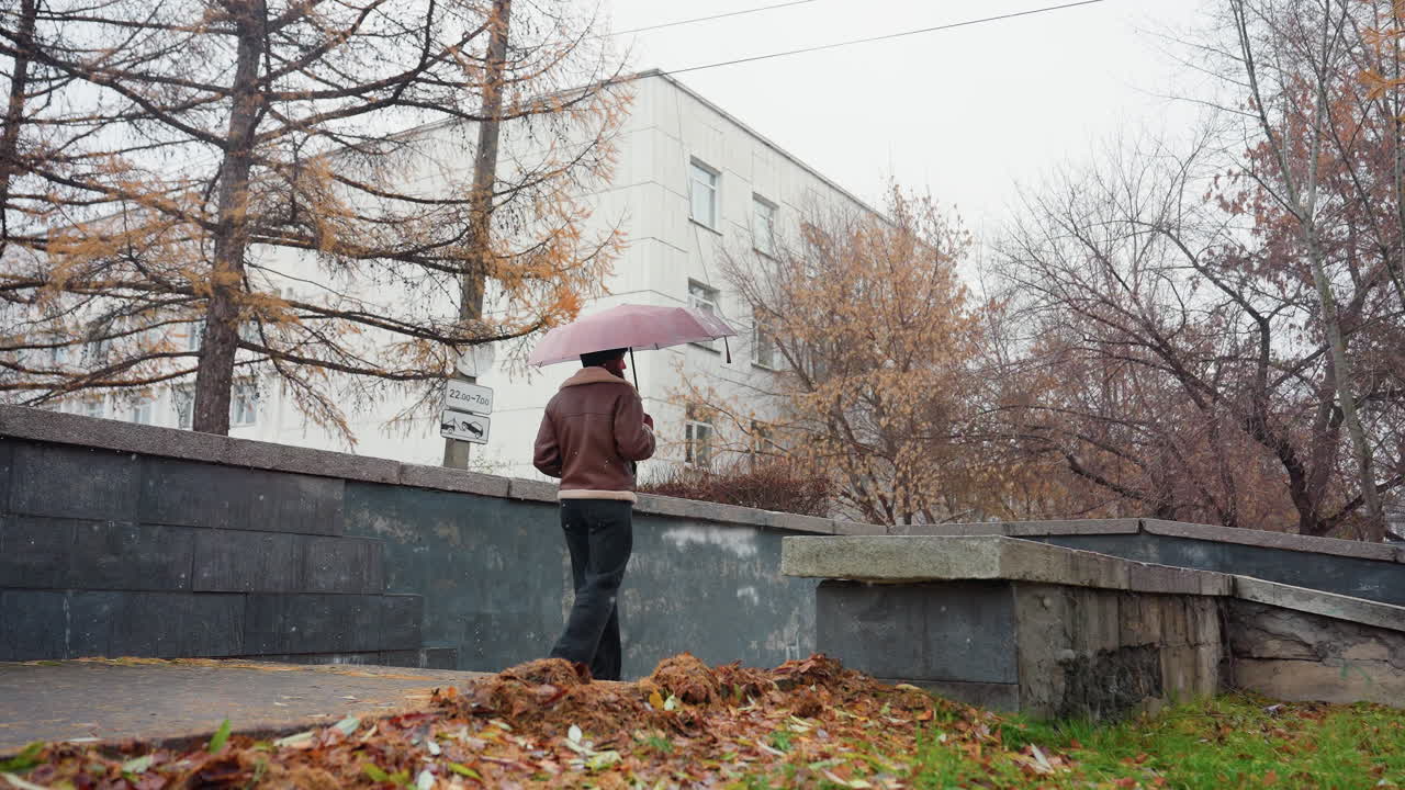 Thoughtful girl holding umbrella, wearing knit cap, brown shearling jacket, walking outdoors during light snowfall. Colorful autumn leaves scattered on ground, peaceful fall scene