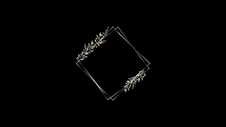 Animated Diamond Frame with Floral Accents on Black Background