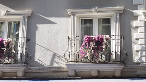 close up of a white building with two balconies with iron fences and pink flowers