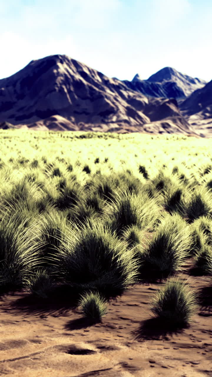 Vast desert landscape showcasing undulating mountains and lush green tufts