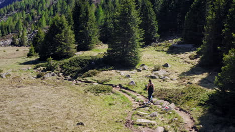 Weiblicher-Wanderer,-Der-Durch-Bergpfad-Geht