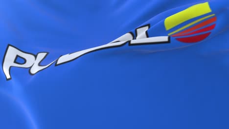 미국 콜로라도 주 푸에블로 시의 발, 바람에 흔들리는, 느린 루프