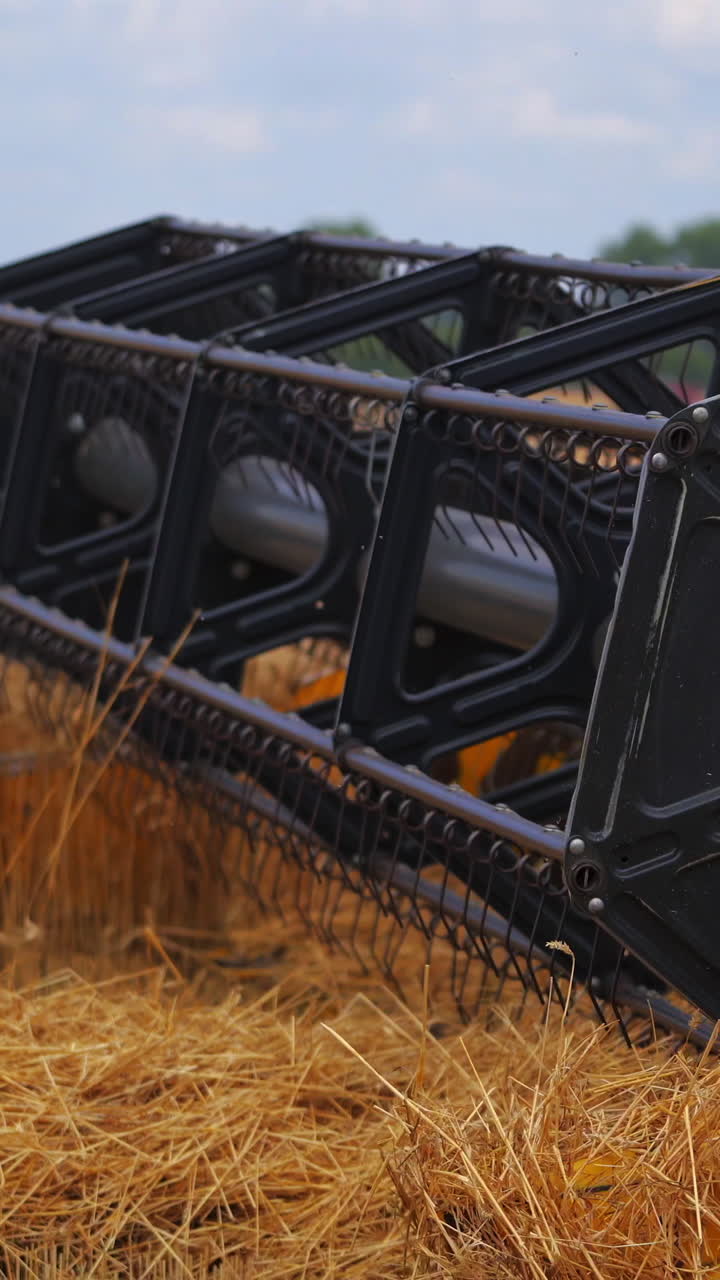 Combines in the field. Side view of harvesters. Season of gathering crops. Rye and barley. Vertical video