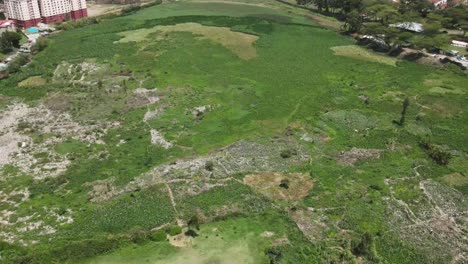 DJI-mavic-drone-flying-over-the-green-water-hyacinth-water-dam,-poorly-built-hut-on-the-polluted-water-dam-in-the-Nairobi-water-dam