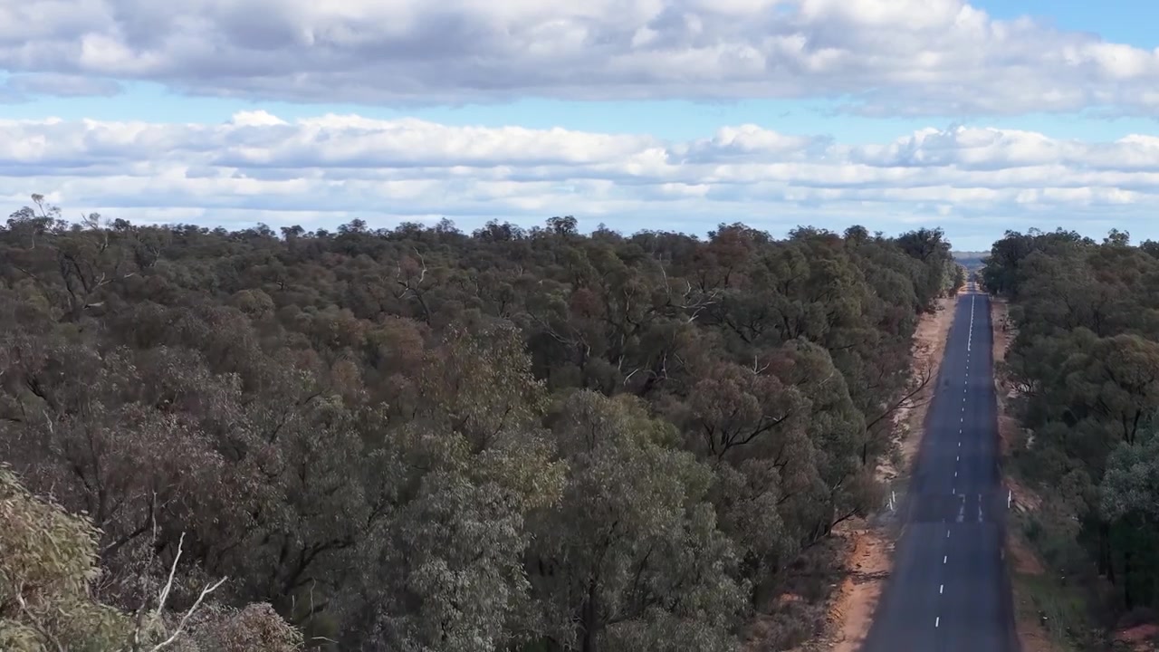 Ripresa con drone dall'alto di una strada isolata che attraversa una fitta boscaglia nella foresta di Goonoo, Australia.