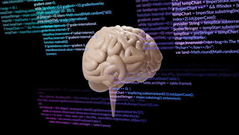 animazione del cervello umano e elaborazione dei dati su sfondo nero