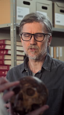 expert examining a skull in a museum