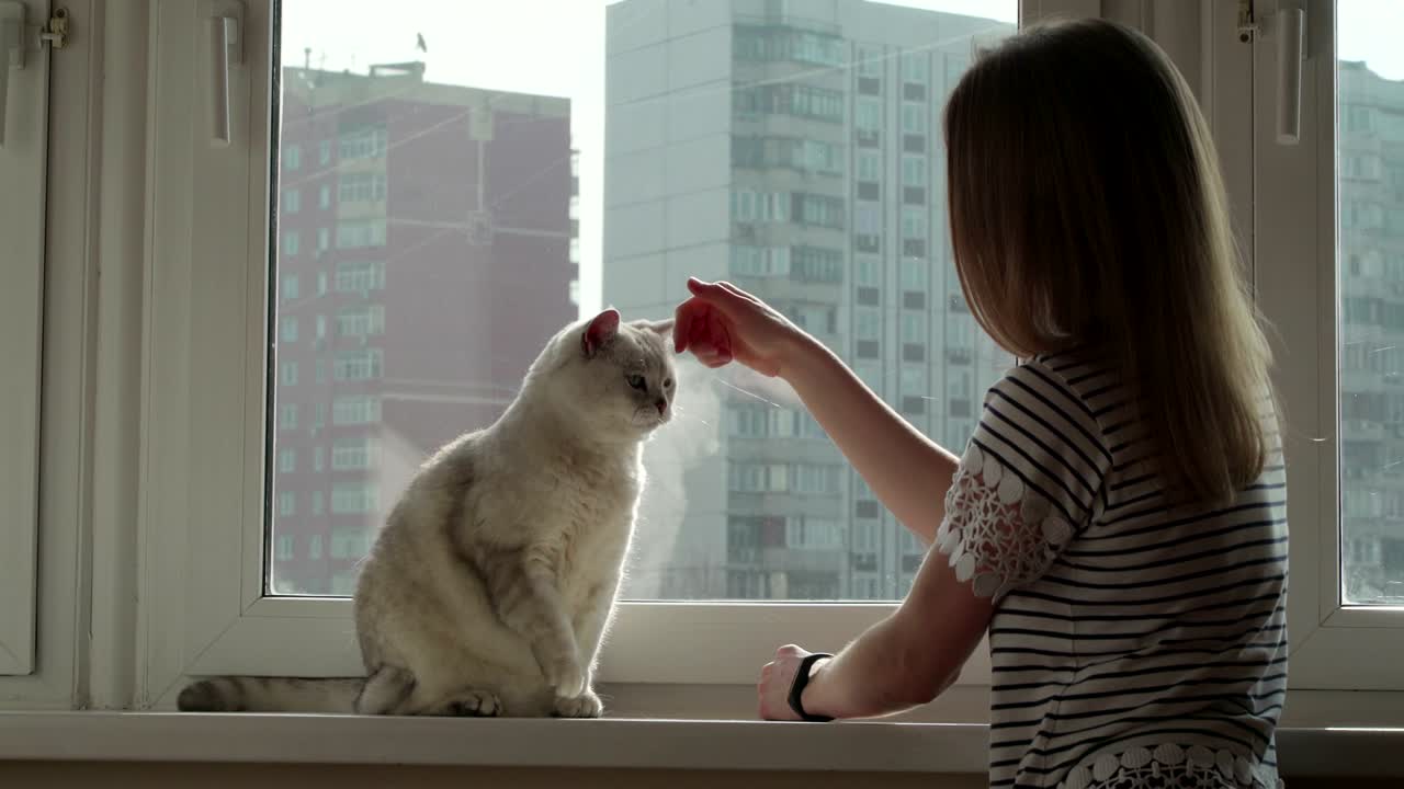 남자와 그의 애완동물 사이의 관계의 개념: 젊은 금발과  고양이, 고양이를 포옹하는 소녀