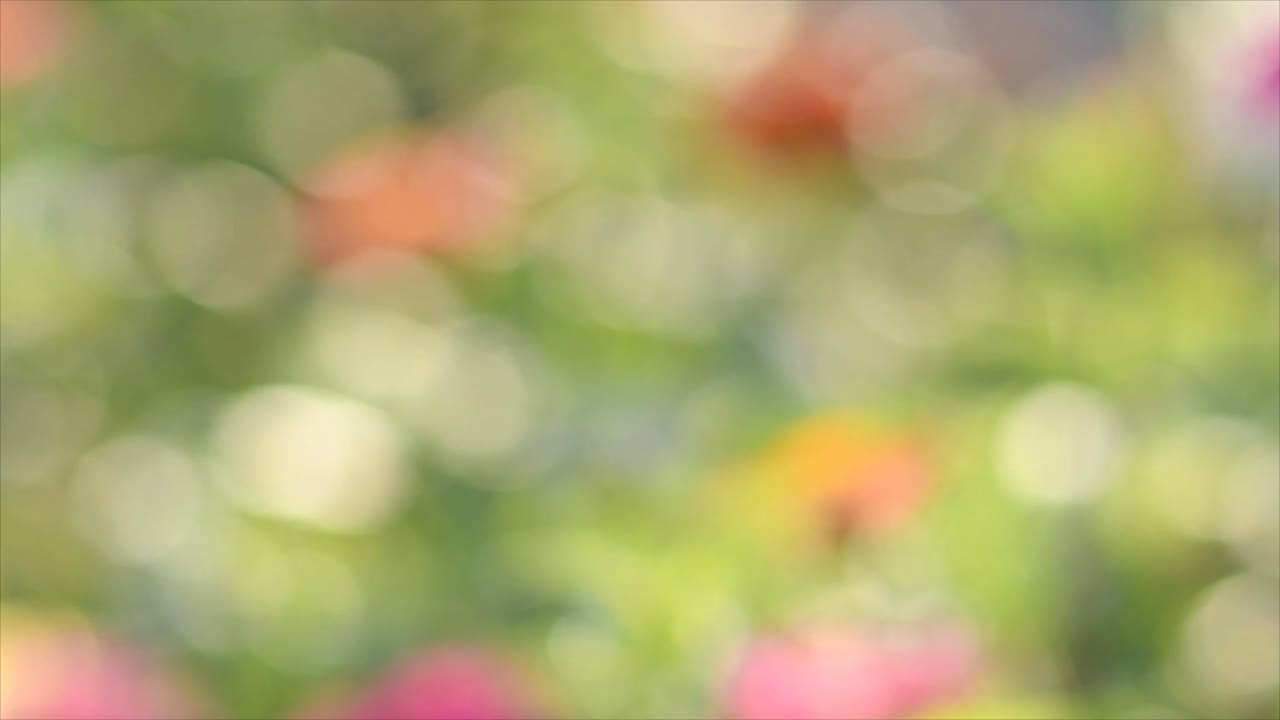 Sfondo bokeh astratto verde e rosa