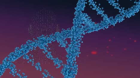 Animación-Del-Círculo-De-Procesamiento,-ADN-Y-Procesamiento-De-Datos-Sobre-Fondo-Morado