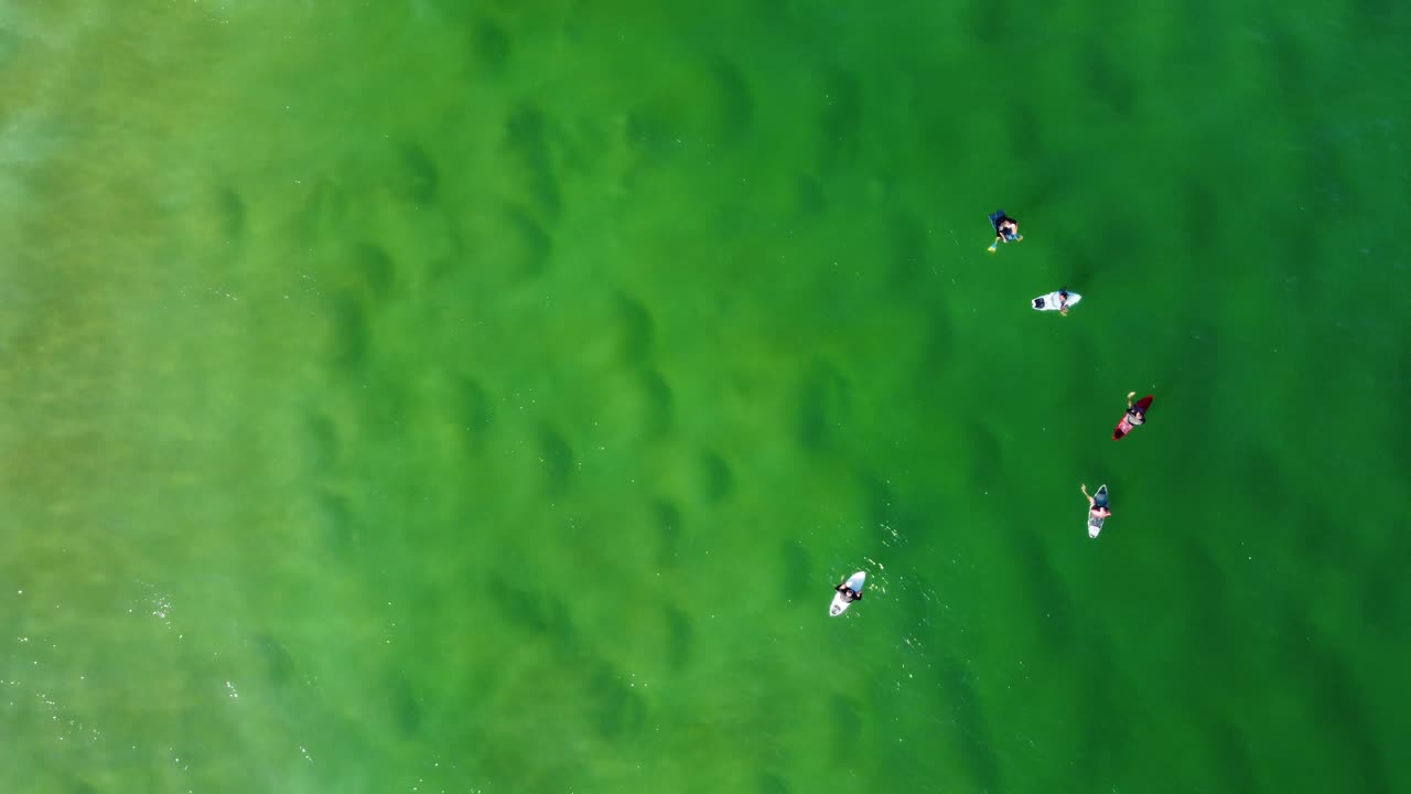 파도를 기다리는 맑은 바다 모래톱에서 서퍼의 공중 드론 조감도 nsw avoca 중앙 해안 호주 4k