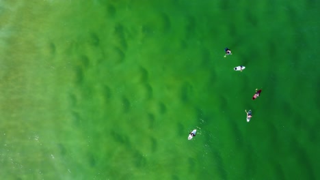 aerial drone bird's-eye view of surfers on crystal clear ocean sandbank waiting for waves nsw avoca central coast australia 4k