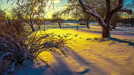Magical-smooth-shot-of-winter-wonderland-in-a-snowy-soft-and-idyllic-forest-during-golden-hour-sunset