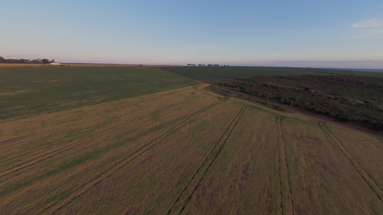 Vast soybean plantation in Goias, Brazil, showcase patchwork of crop fields and preserved native vegetation, reflecting modern agricultural practices alongside environmental conservation aerial