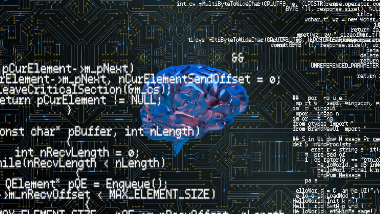 Brain and a digital circuit with program codes