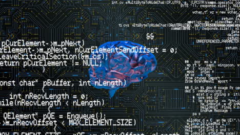 brain and a digital circuit with program codes