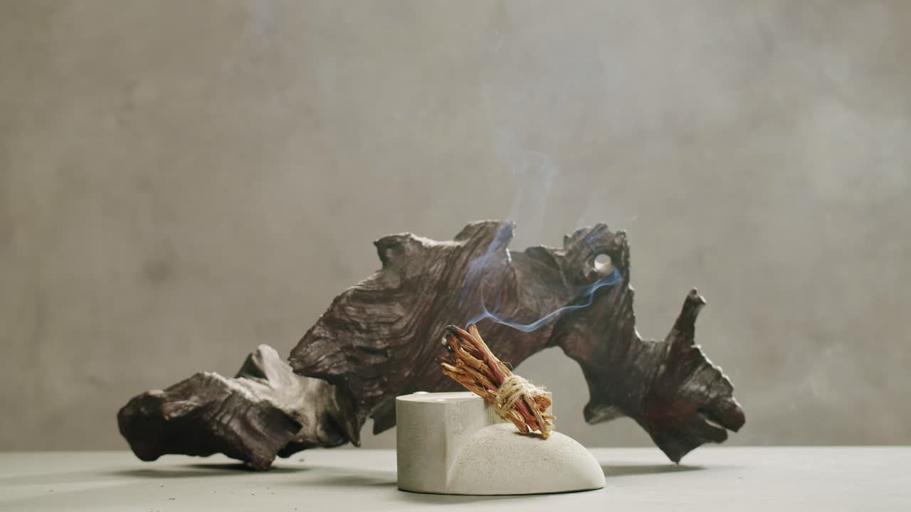 Person holding Palo Santo wood stick in hand, aromatic Palo Santo burning on black background, smoke spreading around, slow motion video clip, high quality 4k close up footage. High quality 4k footage