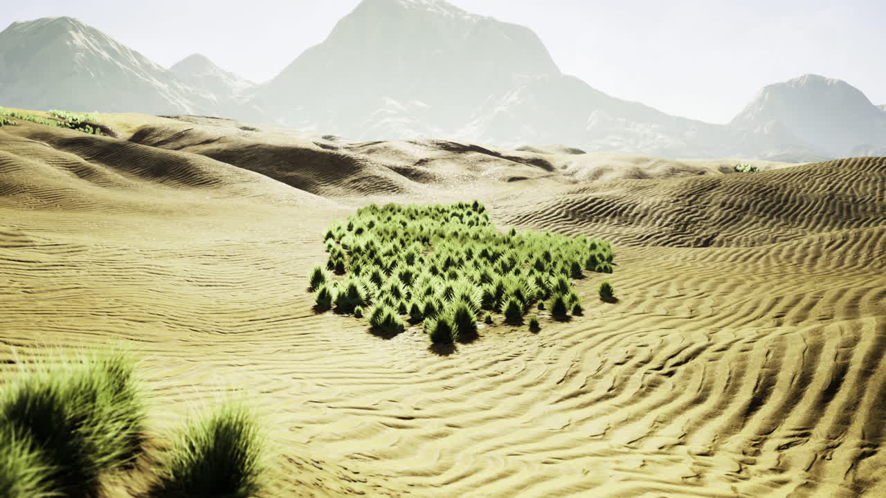 昼間は山の近くの砂漠の風景に茂った植生