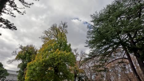 día de otoño en un parque de la ciudad con la gente